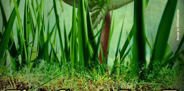 The-Grass-Root-Riddim-bread-back-productions