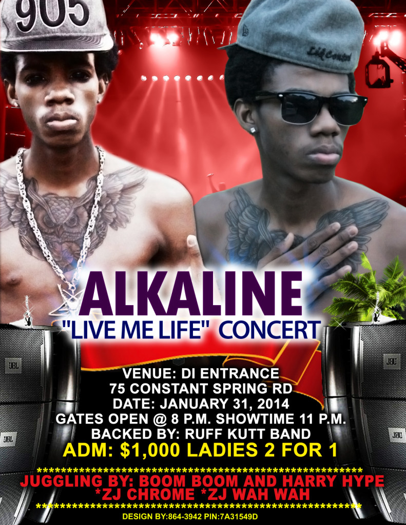 alkaline-live-me-life-concert-2014