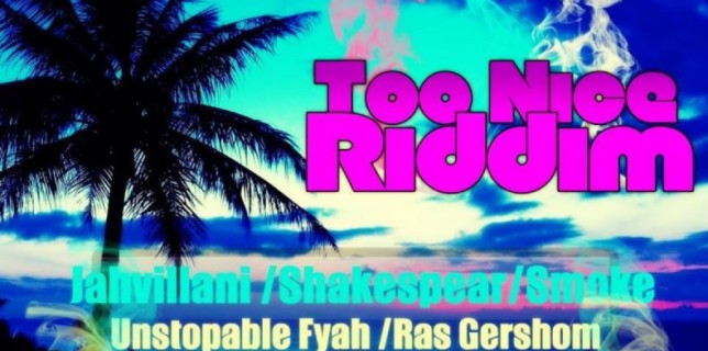 Too-Nice-Riddim-Cover