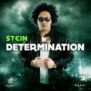 determination-Cover