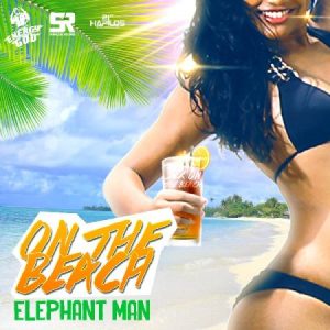 elephant-man-on-the-beach-artwork-2015