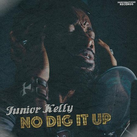 Junior-Kelly-No-Dig-It-Up-artwork