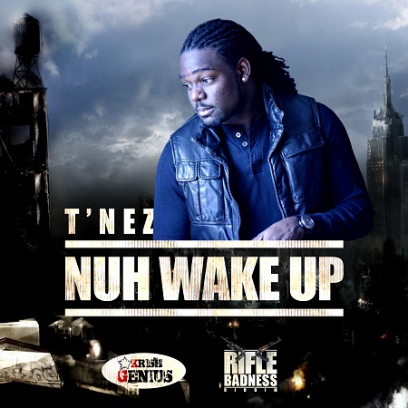 t'nez-nuh-wake-up-cover