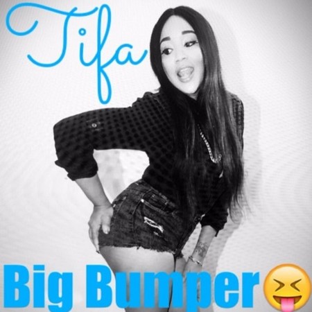 TIFA-BIG-BUMPER-COVER