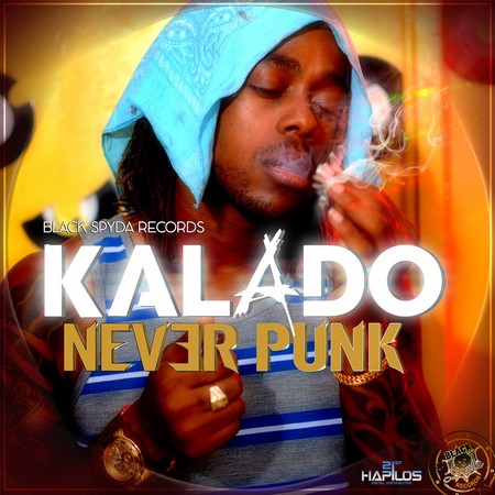 kalado-never-punk-artwork