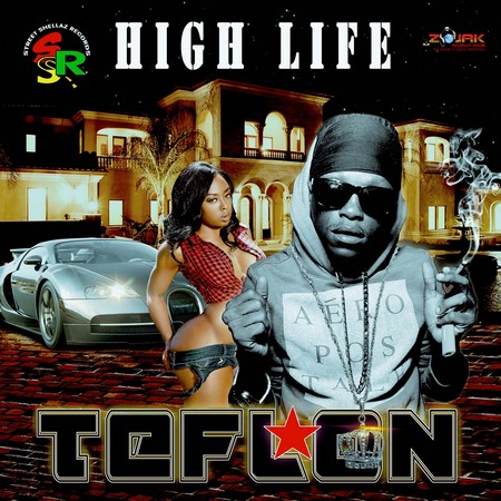 Teflon - high life artwork