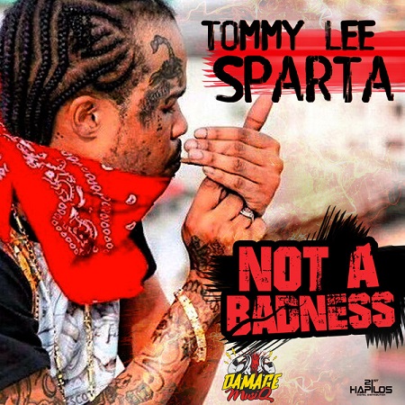 TOMMY LEE SPARTA - NOT A BADNESS