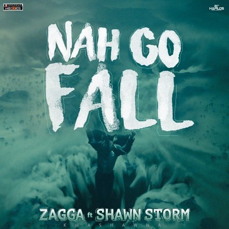 ZAGGA FT SHAWN STORM - NAH GO FALL