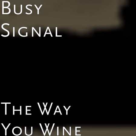 busy signal - The Way You Wine