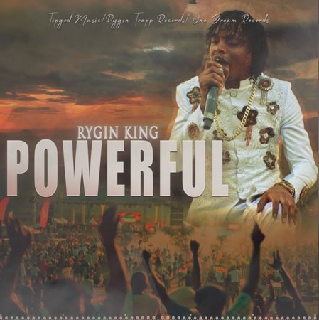 RYGIN-KING-POWERFUL