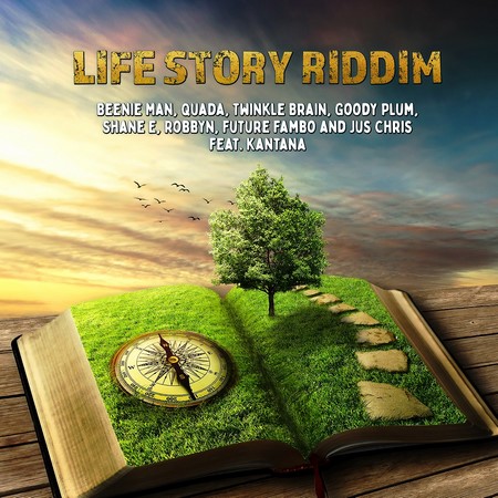Life-Story-Riddim
