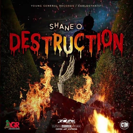 shane-destruction