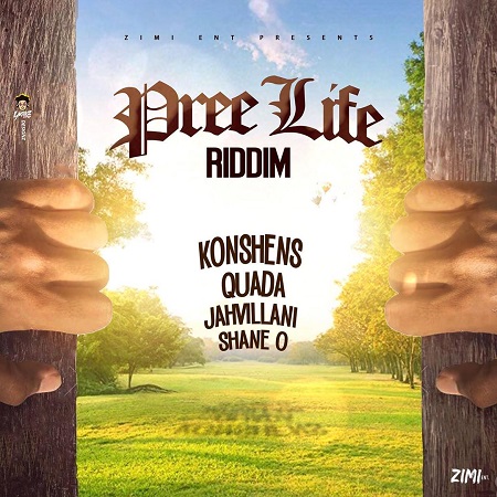 Pree-Life-Riddim-cover