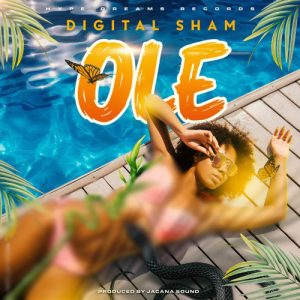 Digital-Sham-Ole