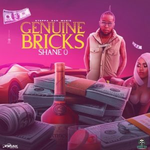 Shane-O-Genuine-Bricks
