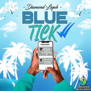 Diamond-Liyah-Blue-Tick-Cover