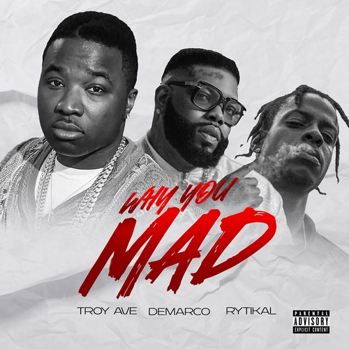 Troy-Ave-Demarco-Rytikal-Why-You-Mad