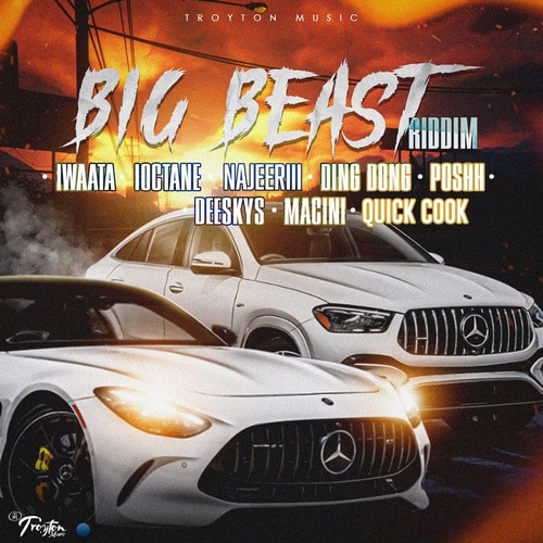 Big-Beast-Riddim